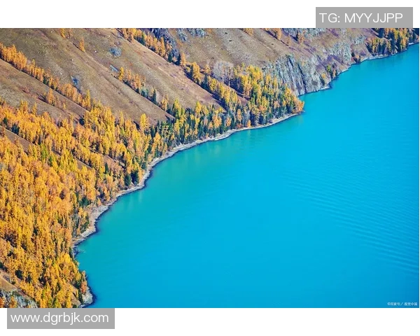 探索阿拉巴的历史与文化魅力，揭示这片土地的独特风景与人文故事