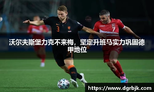 沃尔夫斯堡力克不来梅，坚定升班马实力巩固德甲地位