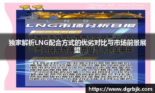 独家解析LNG配合方式的优劣对比与市场前景展望