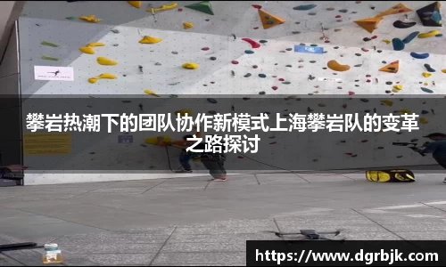 攀岩热潮下的团队协作新模式上海攀岩队的变革之路探讨