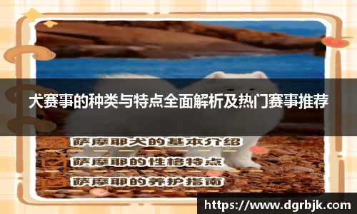 犬赛事的种类与特点全面解析及热门赛事推荐