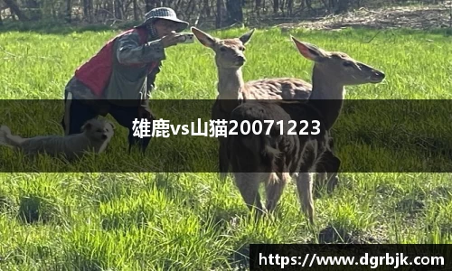 雄鹿vs山猫20071223