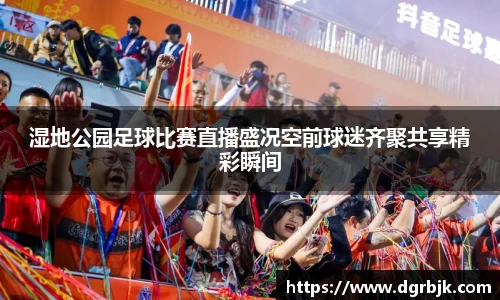 湿地公园足球比赛直播盛况空前球迷齐聚共享精彩瞬间