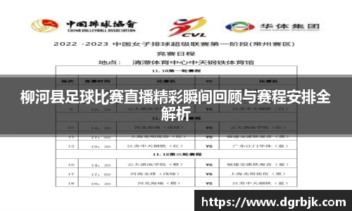 柳河县足球比赛直播精彩瞬间回顾与赛程安排全解析